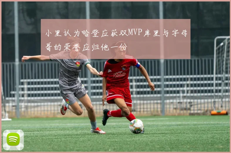小里认为哈登应获双MVP库里与字母哥的荣誉应归他一份
